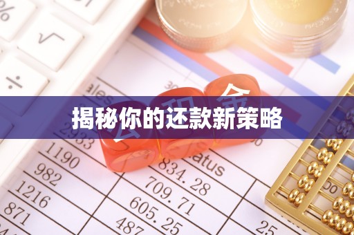 秦安揭秘你的还款新策略