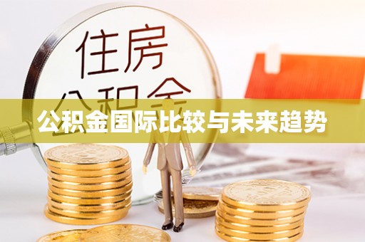 秦安公积金国际比较与未来趋势