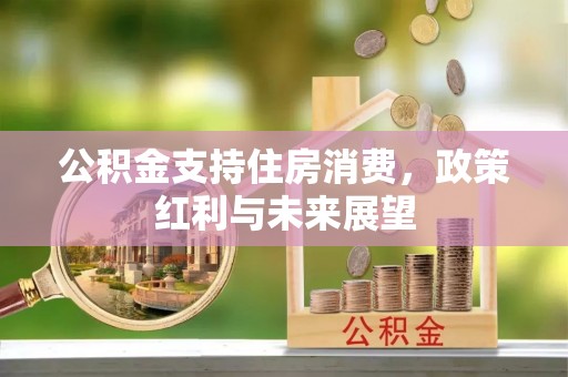 秦安公积金支持住房消费，政策红利与未来展望