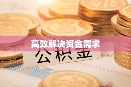秦安高效解决资金需求