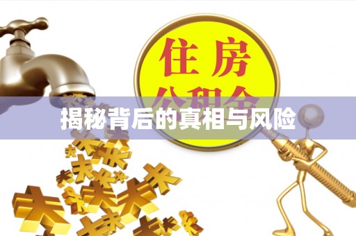 秦安揭秘背后的真相与风险
