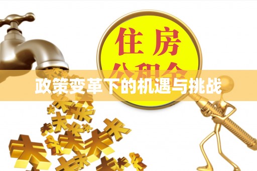 秦安政策变革下的机遇与挑战
