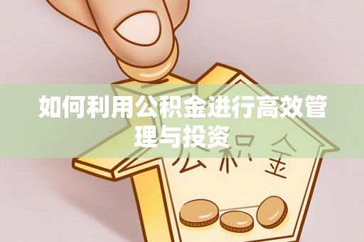 秦安如何利用公积金进行高效管理与投资
