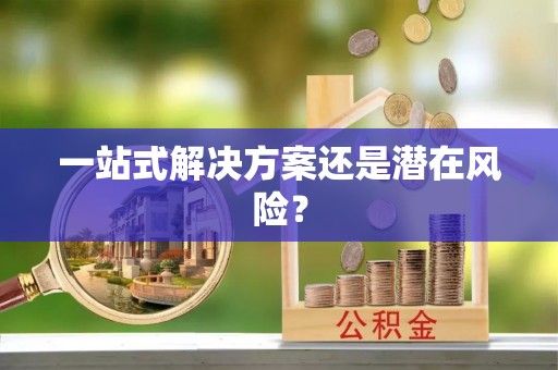 秦安一站式解决方案还是潜在风险？