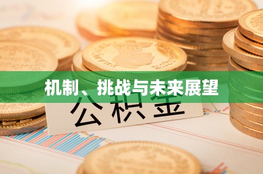 秦安机制、挑战与未来展望